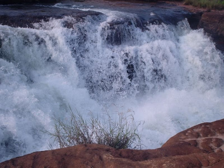 cachueira da fumaça