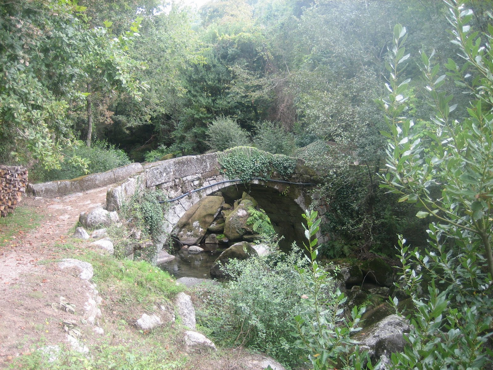 [IMG_6606.JPG]