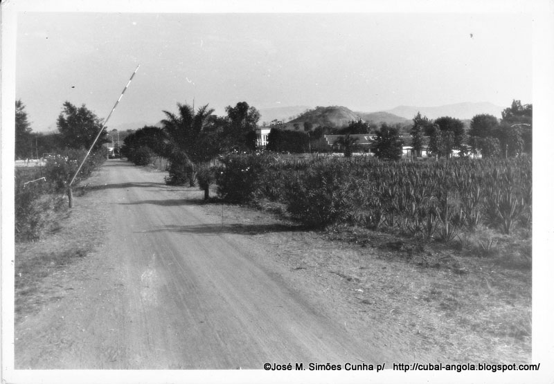 [CUBAL-FERNANDO-ALBERTO.jpg]