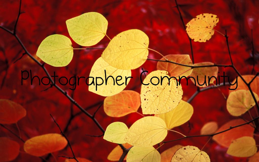 photographer community