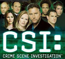 CSI Las Vegas