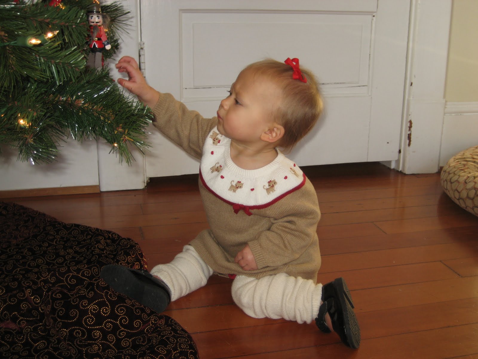 [IMG_5228.JPG]
