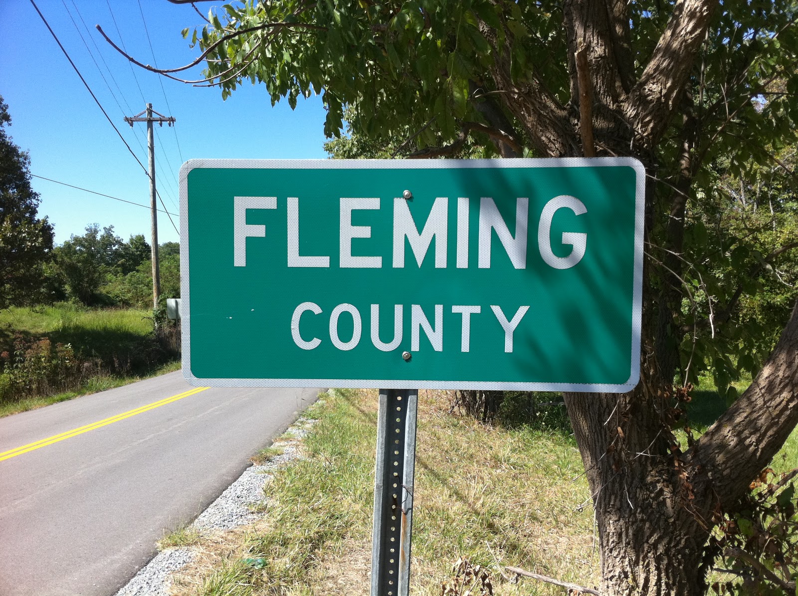 120 in 12 Fleming County
