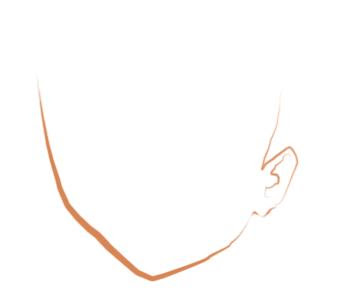 Anime Face Shape