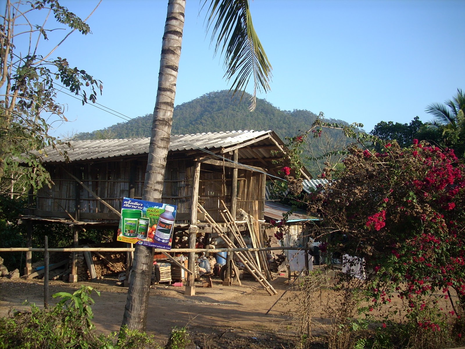 Tribe Houses