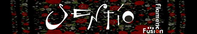 Sentio Flamenco Fusion
