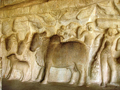 Cattle and villagers huddle under a hillock held aloft by Krishna (out of the fram) at Mahabalipuram