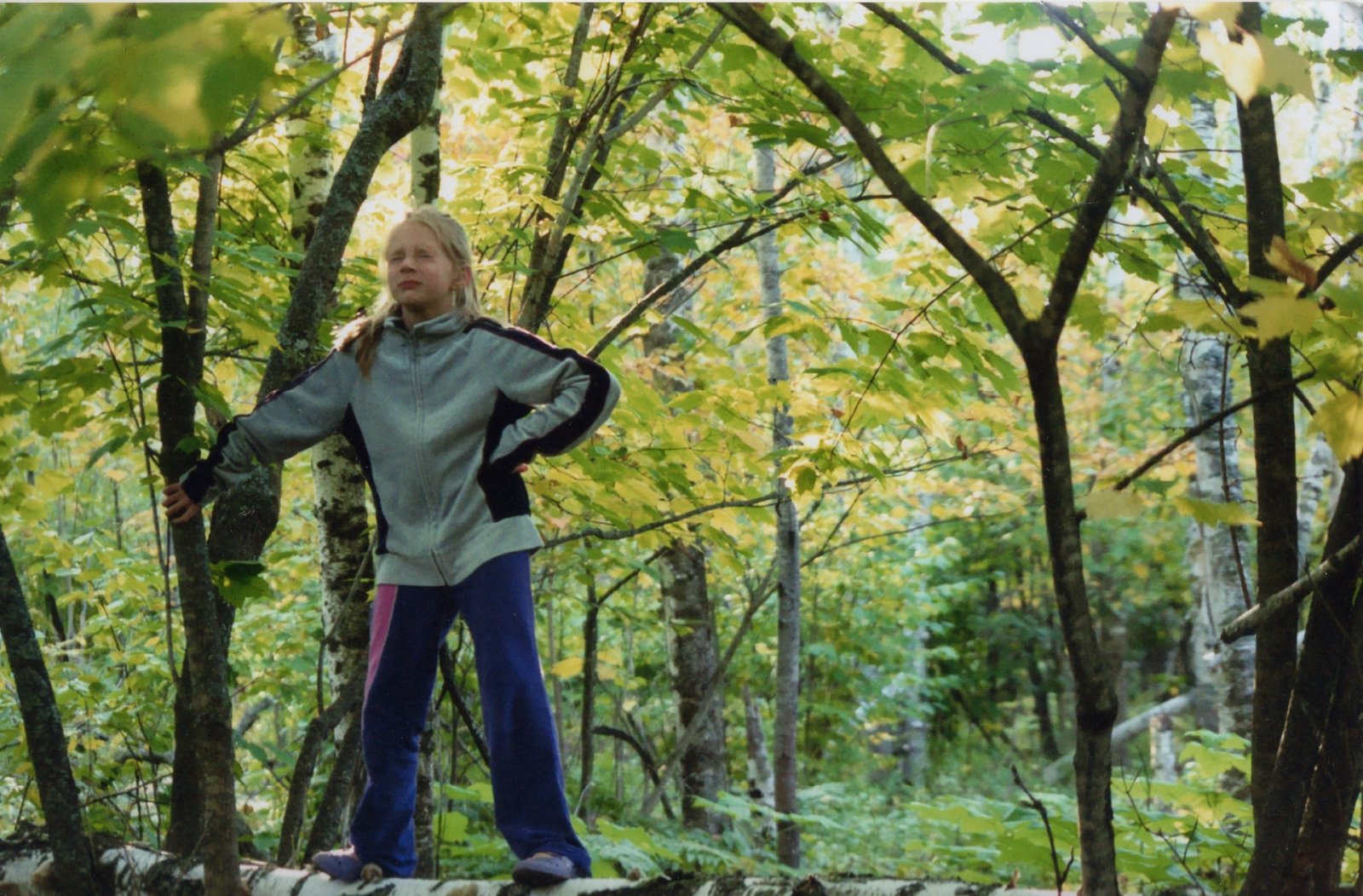 [woods003.jpg]