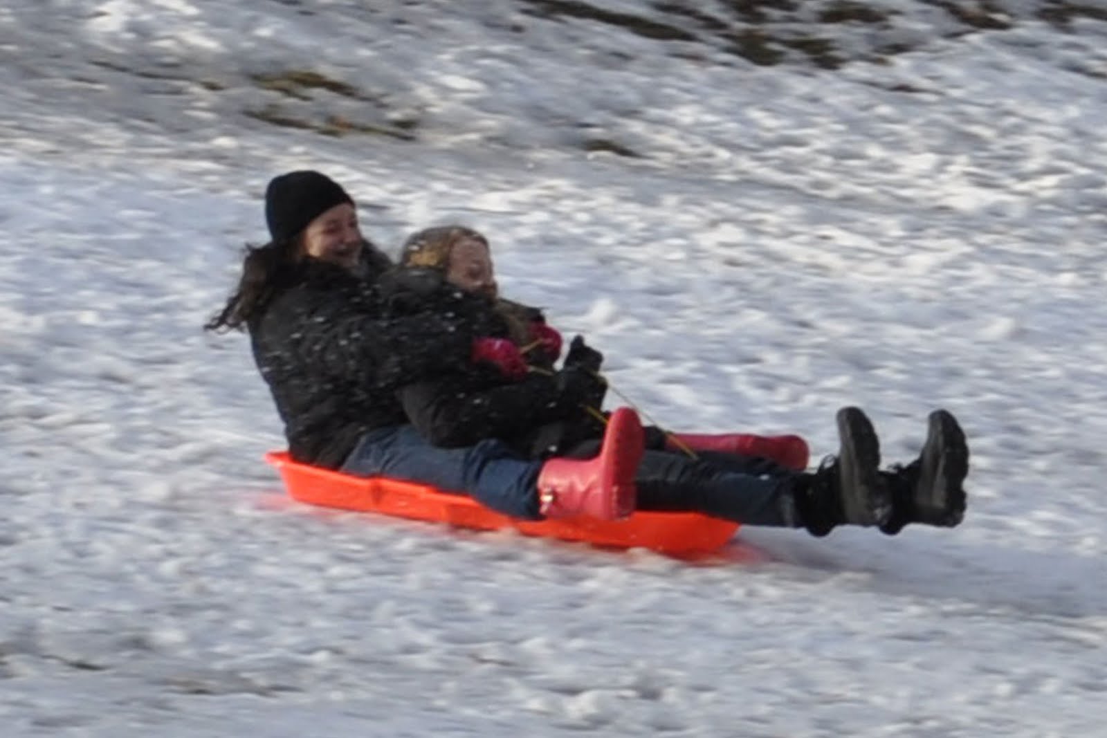 Freedom Cyclist v Helmet Laws (adfree advocacy) Toboggans, horses
