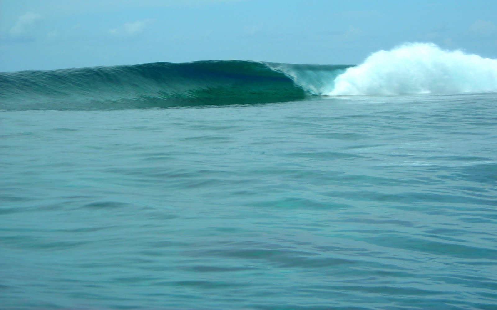 [Copy+of+DSCN2222.JPG]