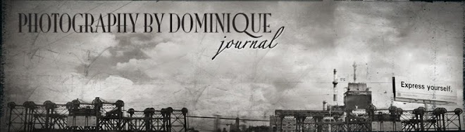 Dominique Doktor Photography Blog