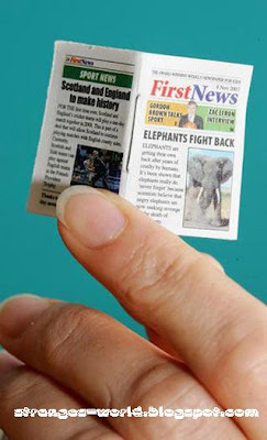 World's Smallest Newspaper @ strange pictures