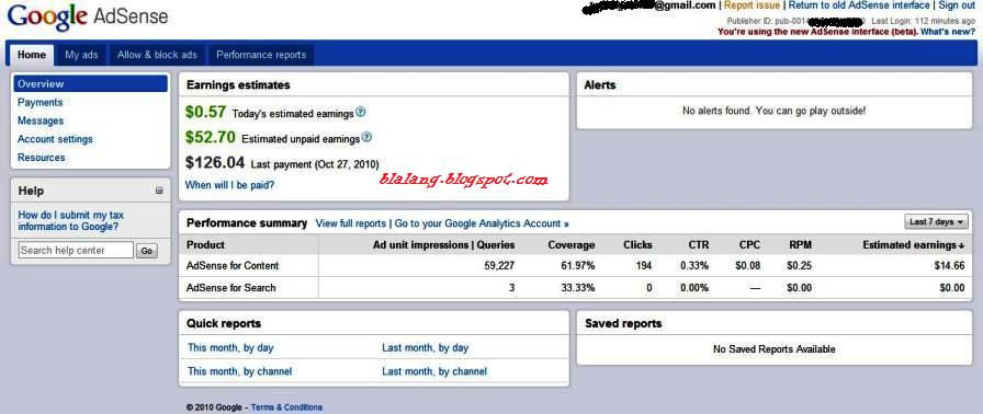 Cari Duit Internet 2010