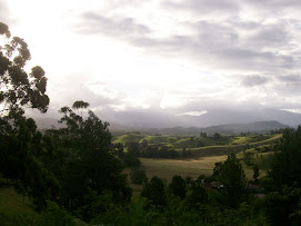 View from Tweed Valley Way (Sth Murwillumbah)