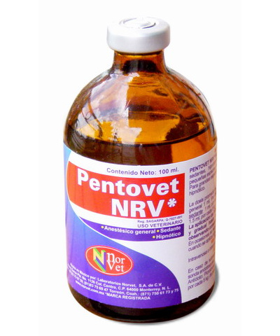 Pentovet Pentovet