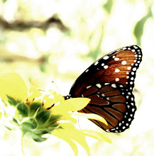 And just when the Caterpillar thought his life was over, it Changed into a beautiful butterfly ~