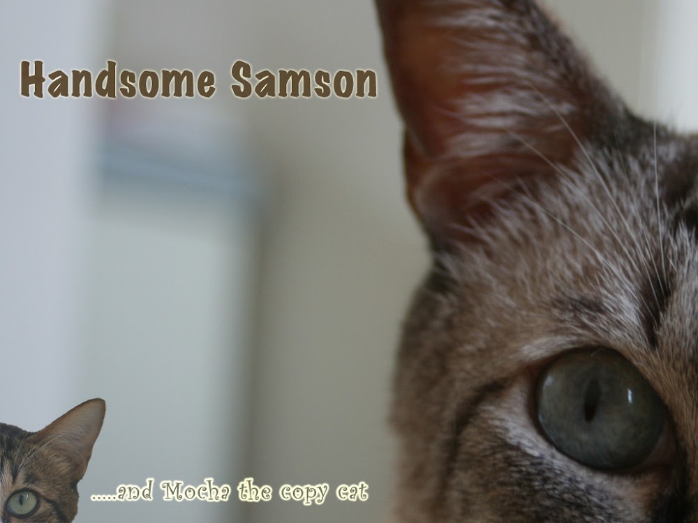 Handsome Samson