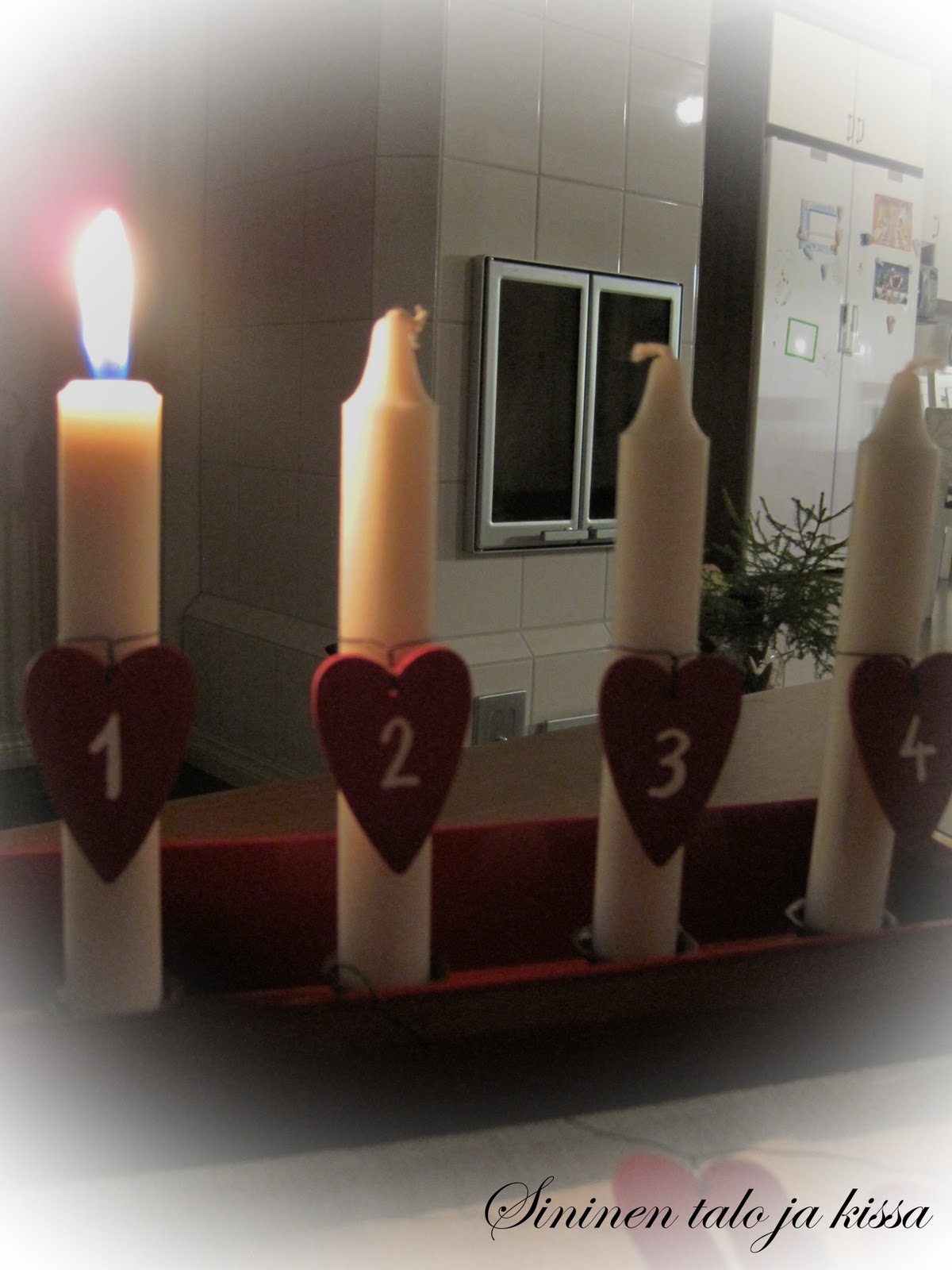 Sininen talo ja kissa: 1. Adventti