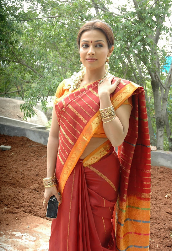 Actress Asha Saini FloraMayuri in Hot Saree HQ Photos Gallery hot images