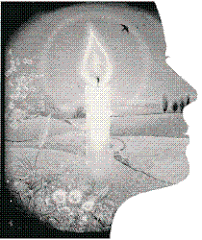 photo from MyLot.com