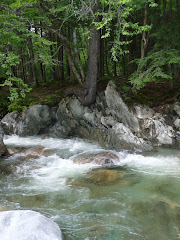 Texas Falls