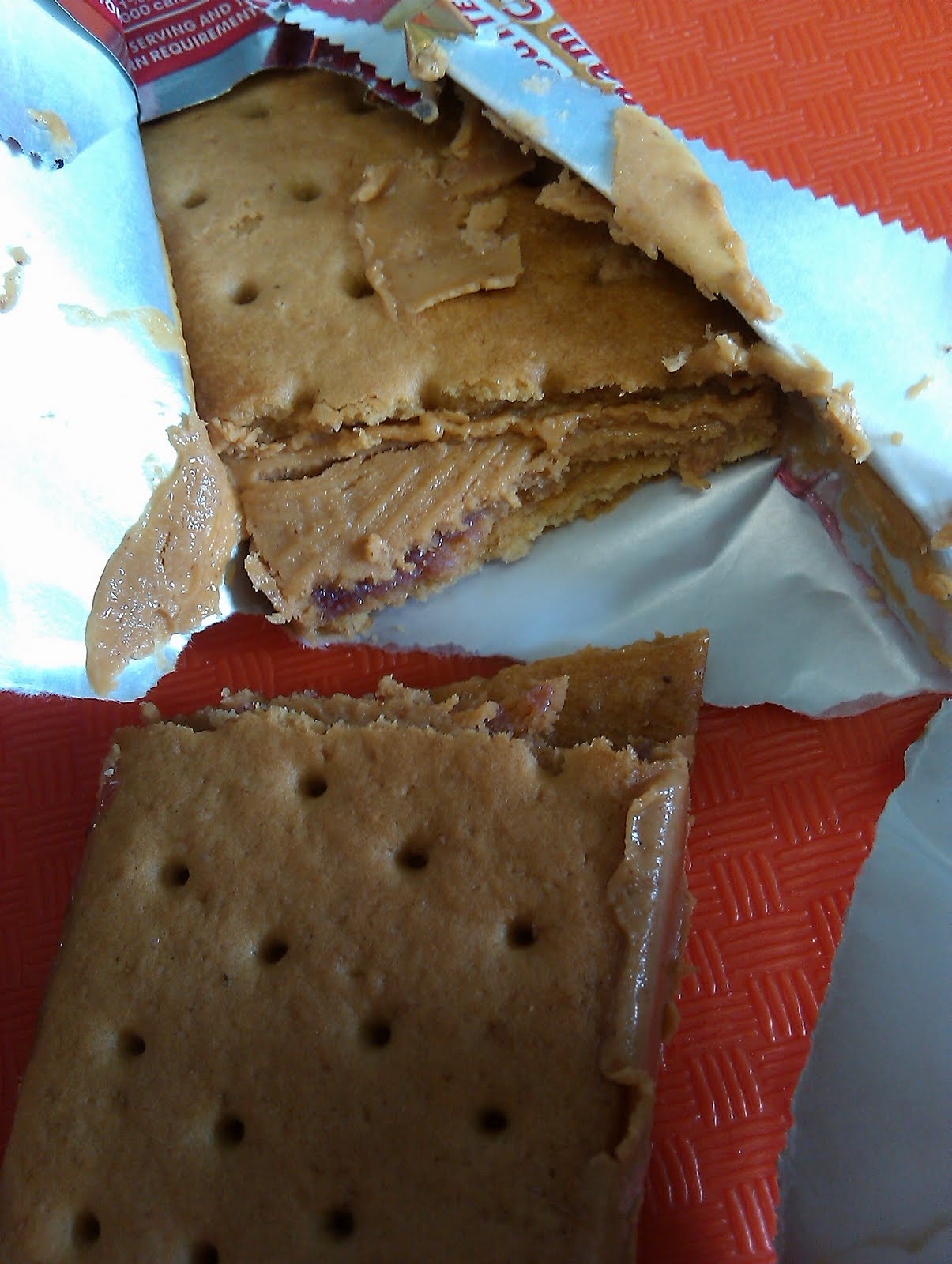 Day 100 peanut butter and jelly Fed Up With Lunch