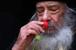 His Holiness Pope Shenouda III