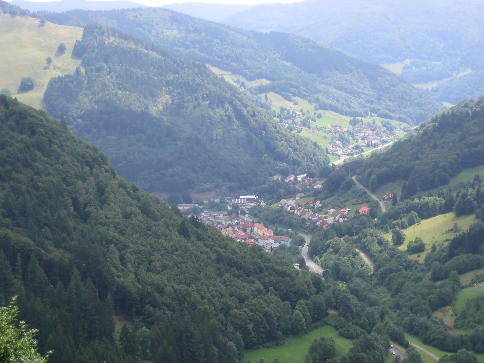 El almacen de mis pasiones Selva Negra