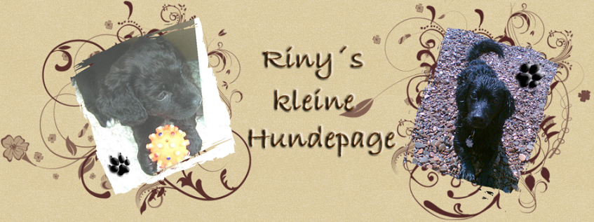 Riny´s kleine Hundewelt