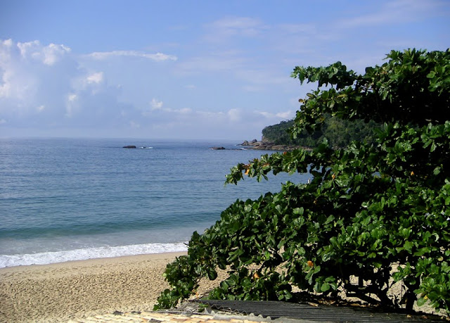 The beach at Trindade, Brazil