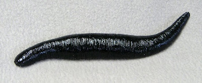 stretchable people