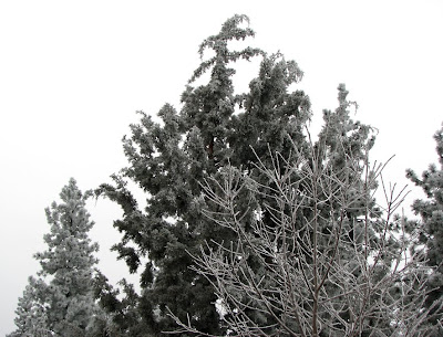 Winter in Bend, Oregon