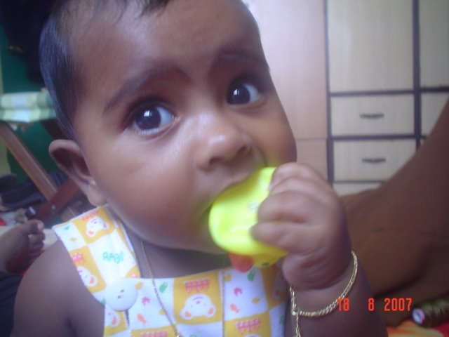 [DSC06146.JPG]