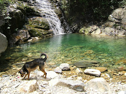 wong lung hang main waterfall