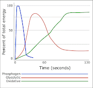 Energy Pathways