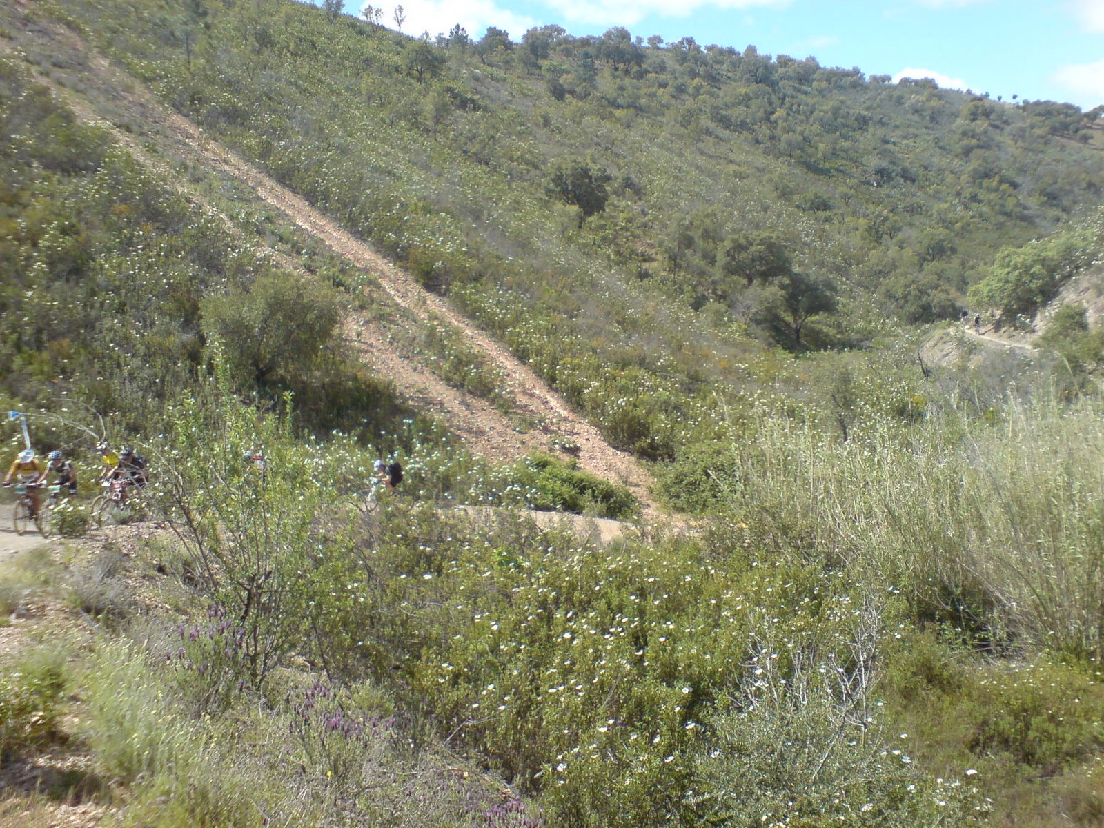 [DSC01009.JPG]