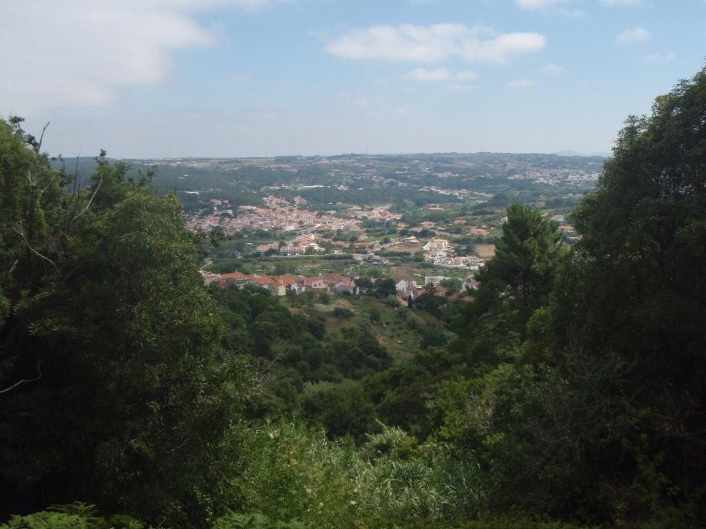 [P7111512.jpg]
