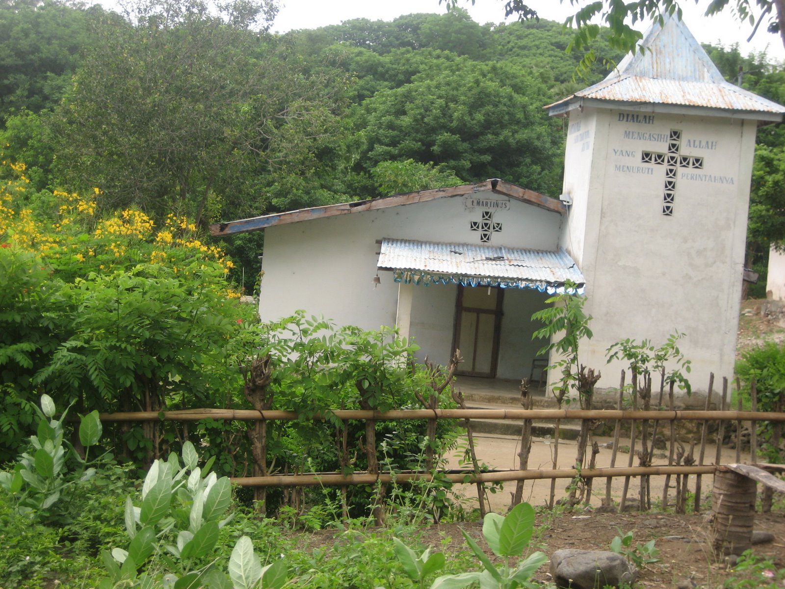 [IMG_8218.JPG]