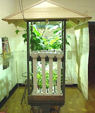 Our "Old" Hydroponic System