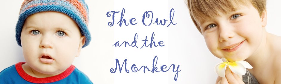 The Owl and the Monkey