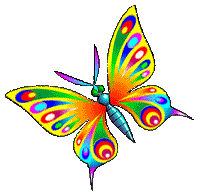 butterfly rainbow