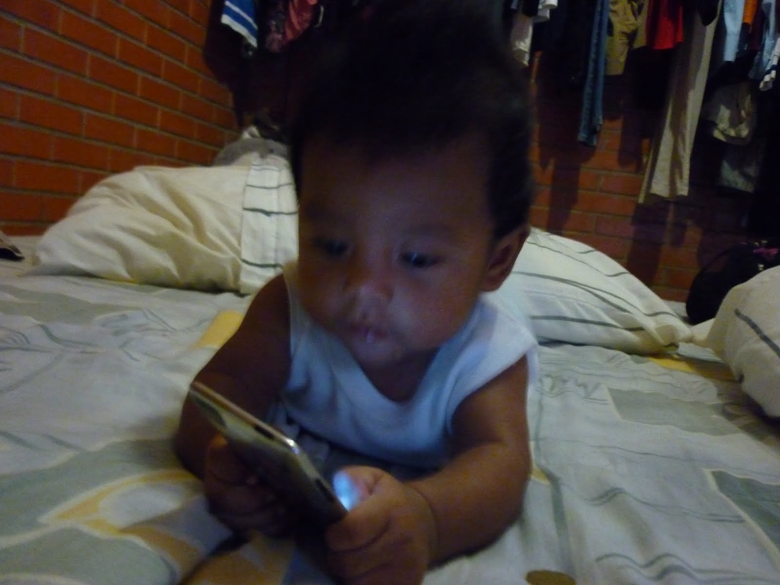 [P1000112.JPG]