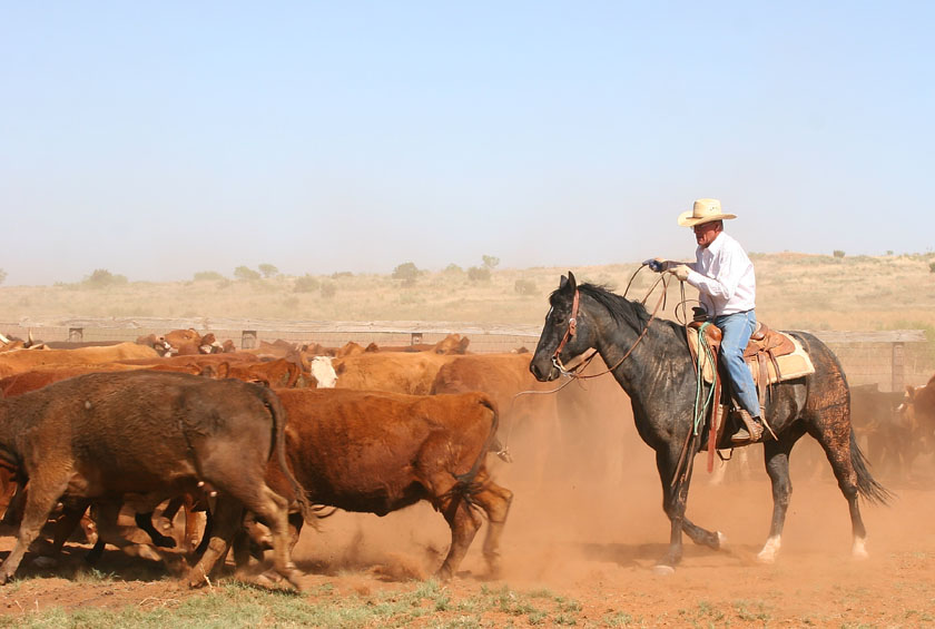 Rene Heil Ranch Photographer Tongue River Ranch...Dumont, Texas