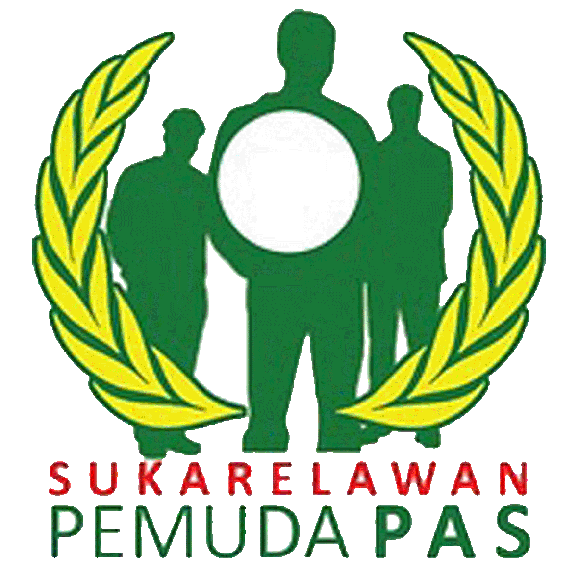 dewan pemuda pas