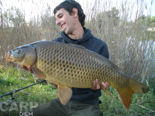 [19lb+12oz.jpg]