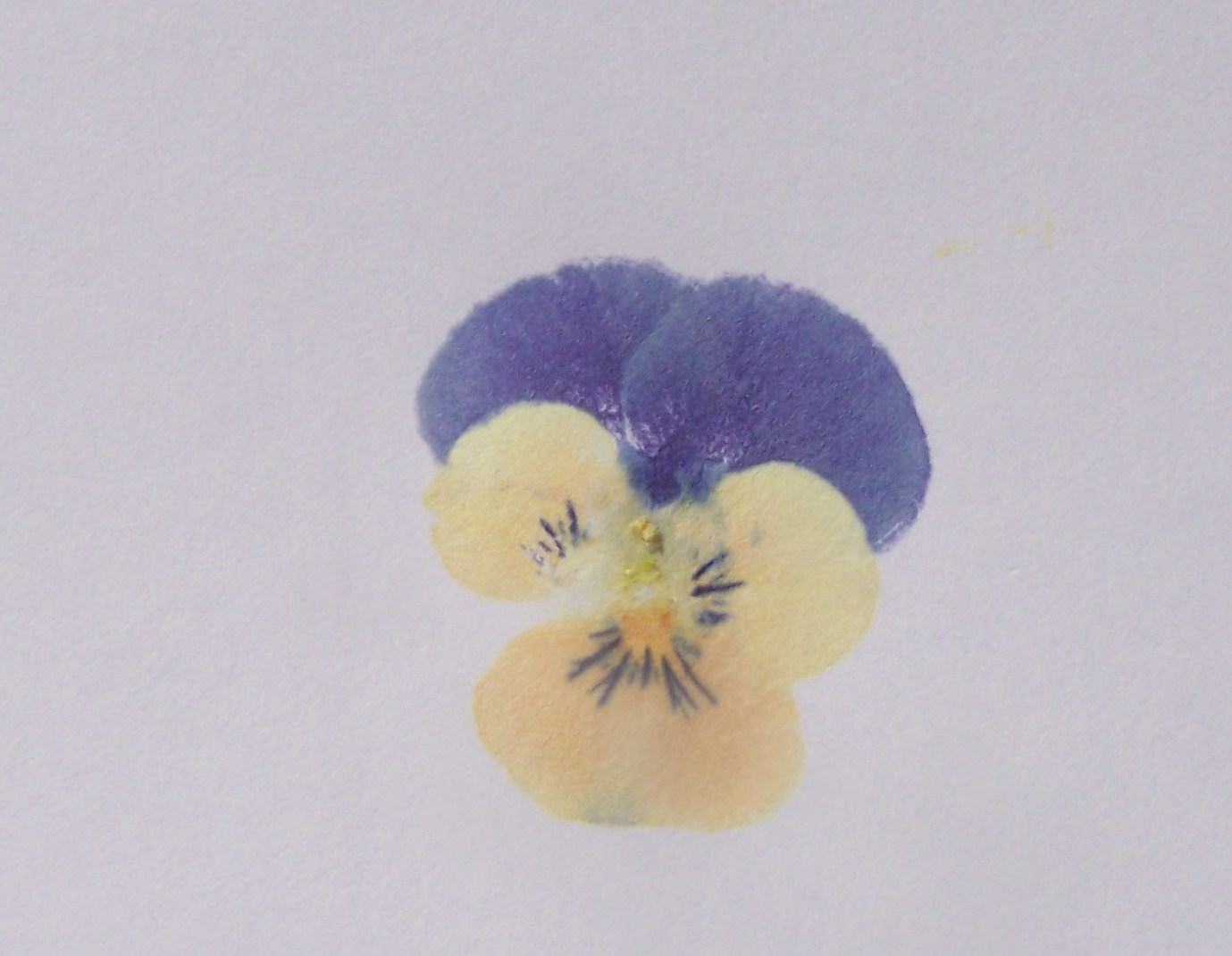 At the Butterfly Ball Flower Pounding Card Tutorial