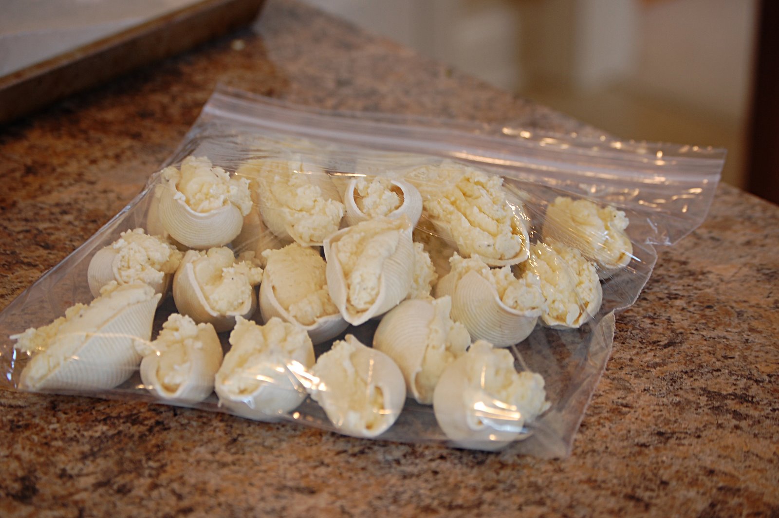 [stuffed+shell+frozen.jpg]