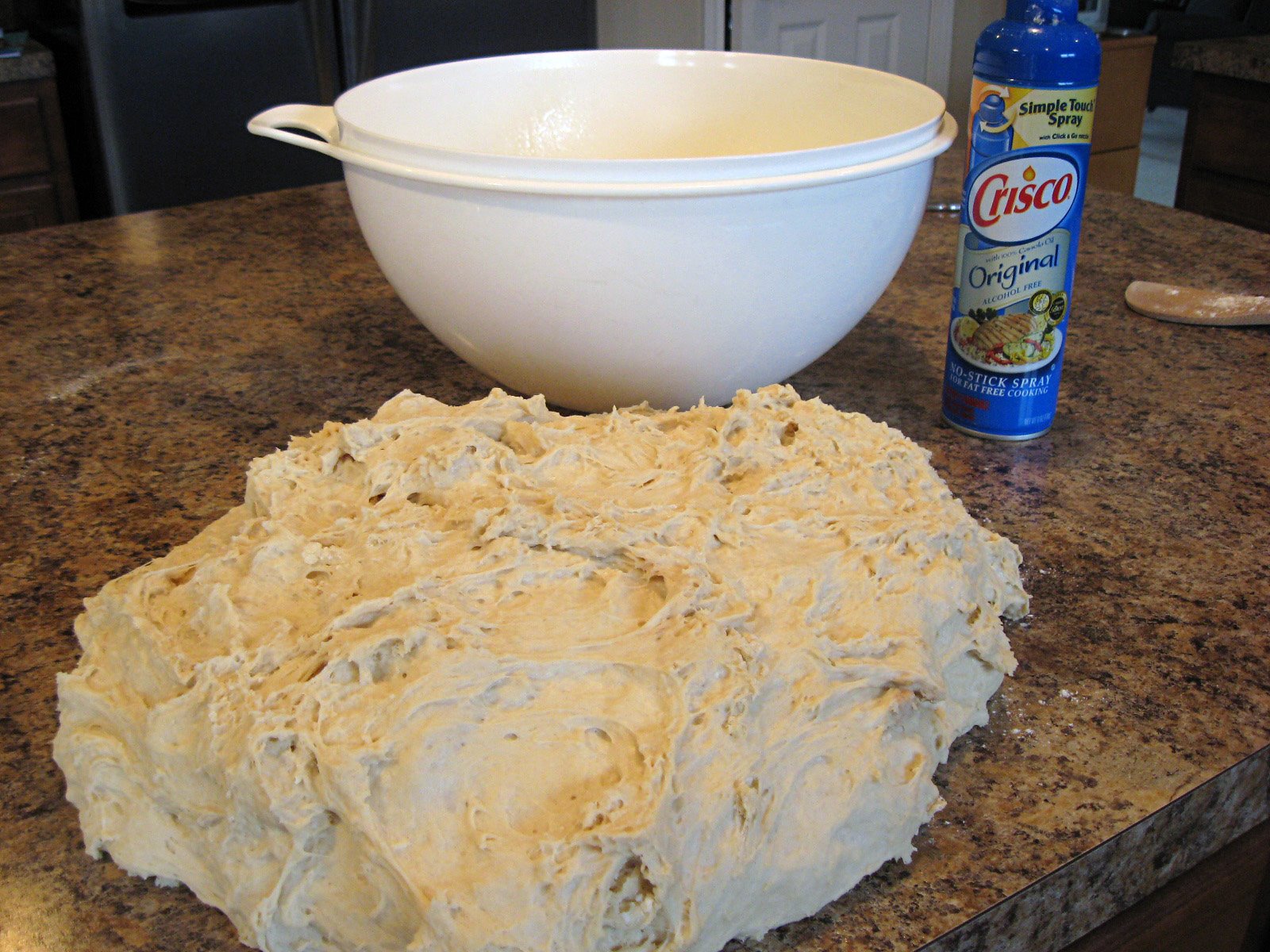 [depression+era+bread+dough+counter.jpg]