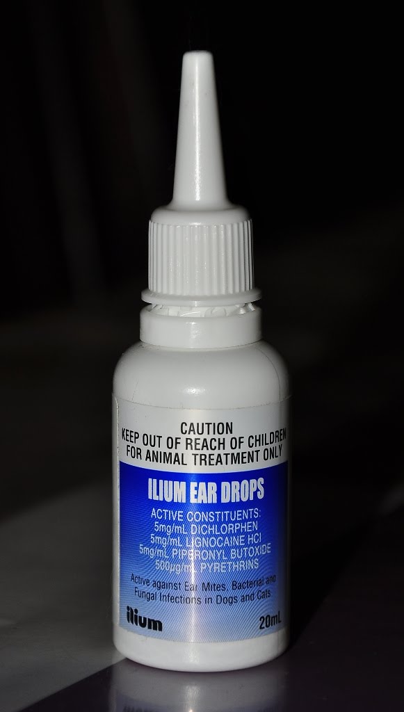 MY PASSION FOR PERSIANS [TIPS FOR CATS OWNERS] PRODUCTS THAT I