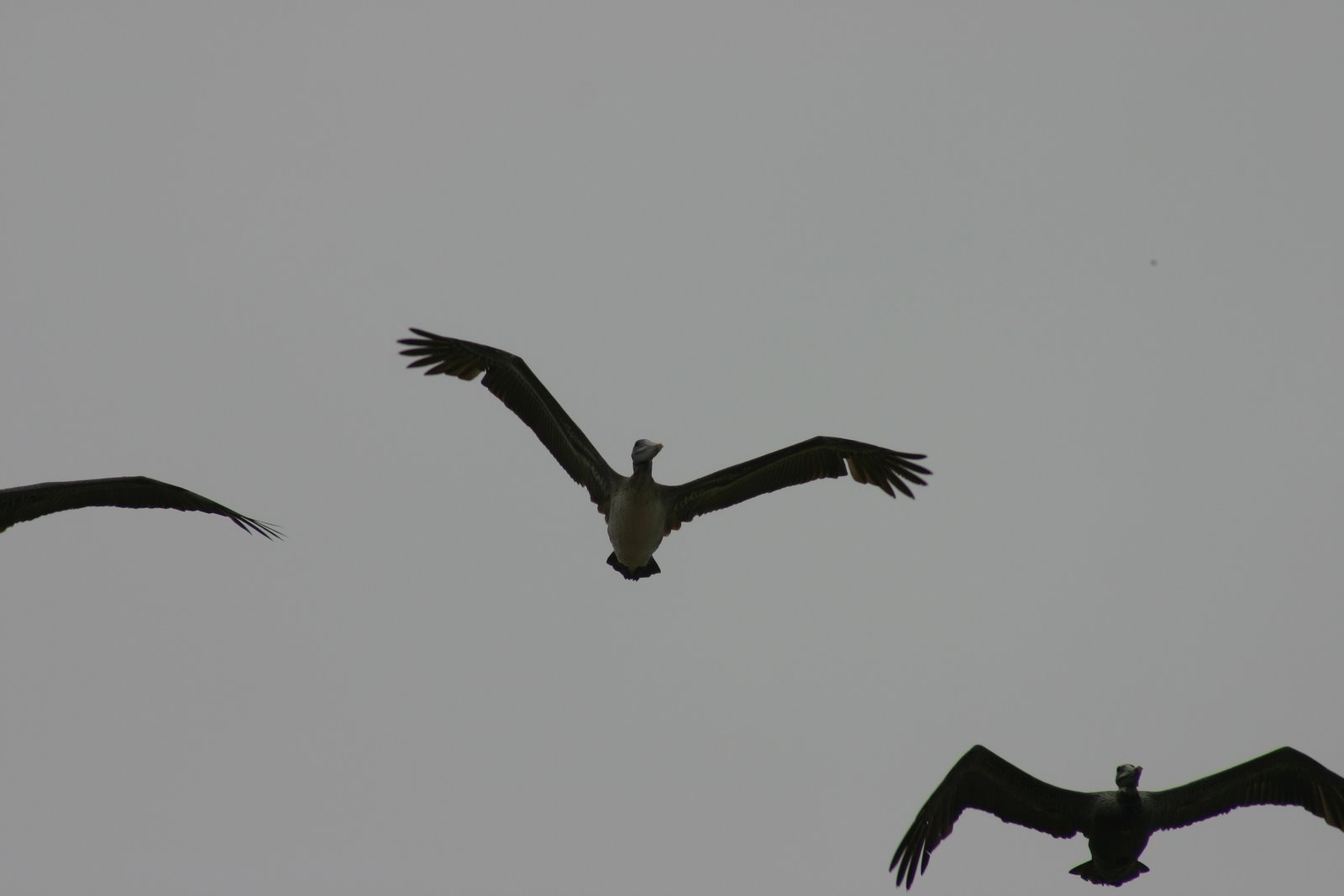 [IMG_3561.JPG]